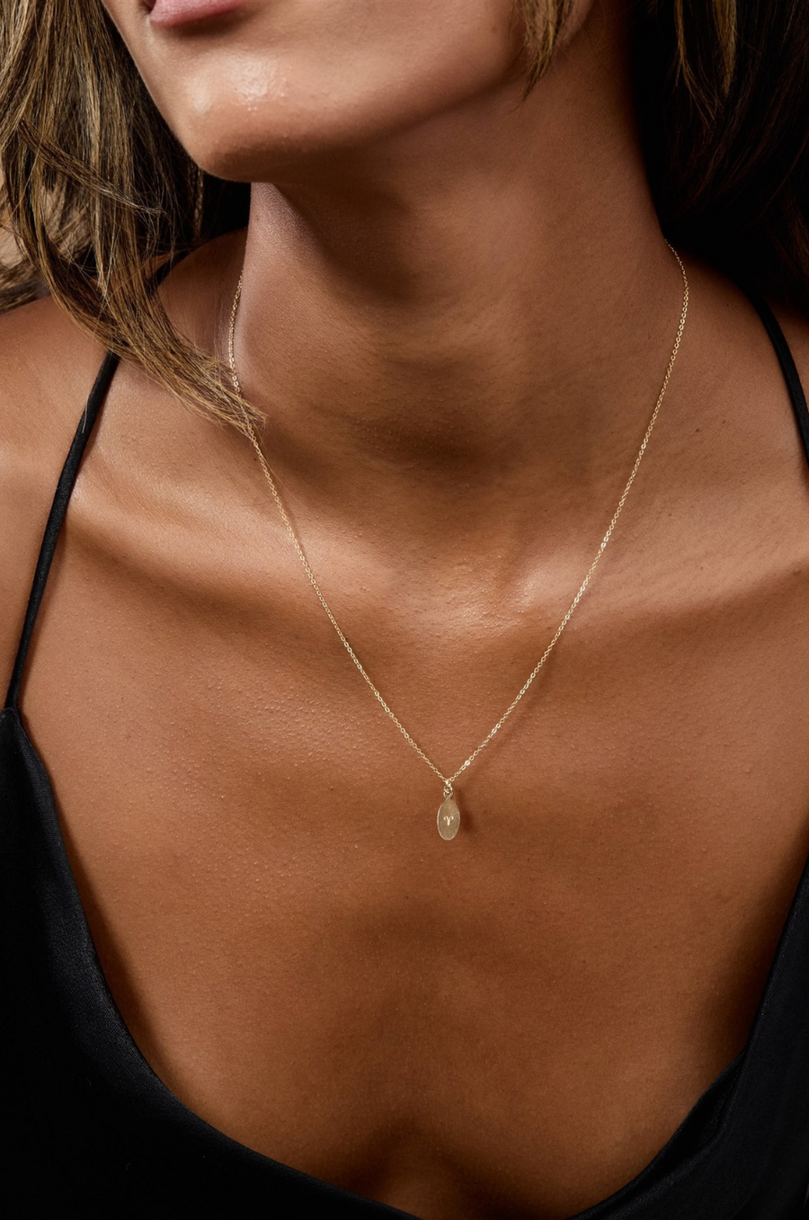 Zodiac Horoscope Necklace